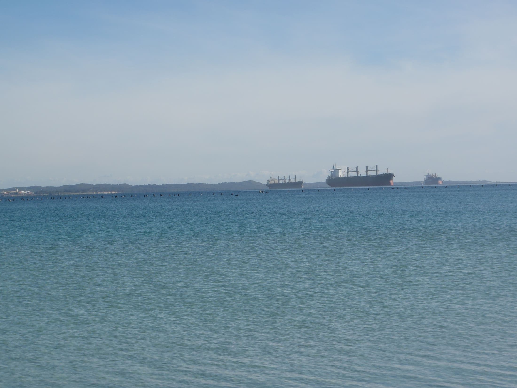 Wide view of bulk carriers at anchorage on open water under a bright sky